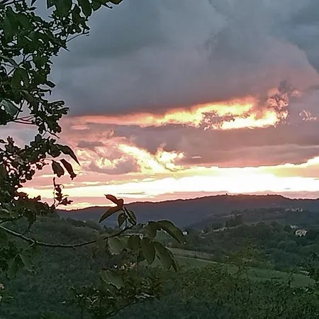 公寓 Casa Clorofilla Con Giardino Privato Tra Ad Assisi E Gubbio Valfabbrica