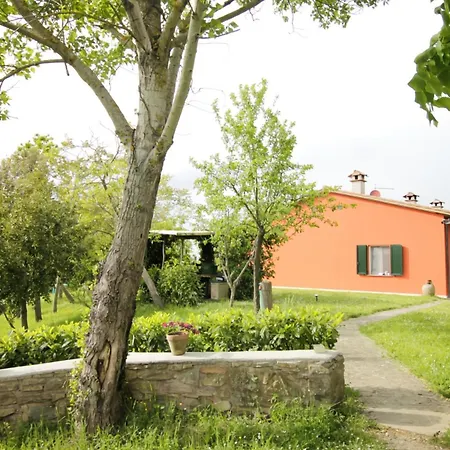 Casa Clorofilla Con Giardino Privato Tra Ad Assisi E Gubbio Διαμέρισμα