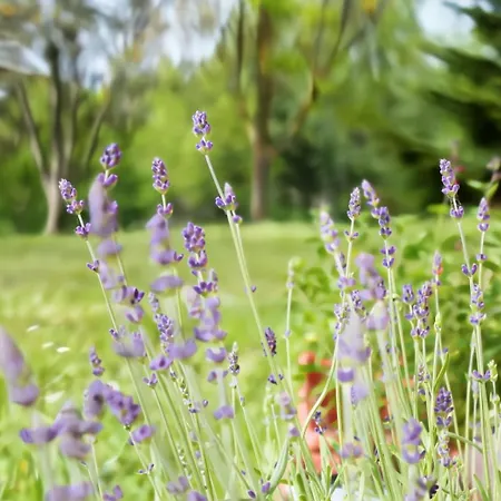 Casa Clorofilla - Umbria, Private Garden * Valfabbrica