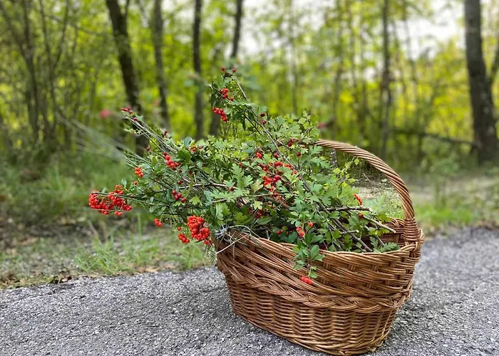 Casa Clorofilla - Umbria, Private Garden Lägenhet