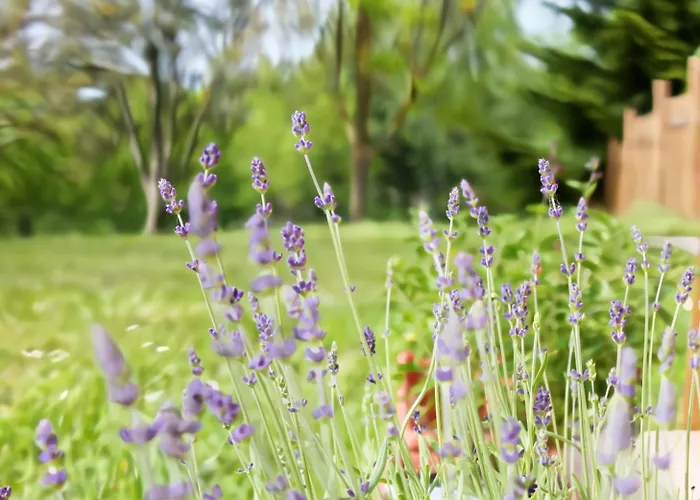 Casa Clorofilla - Umbria, Private Garden * Valfabbrica