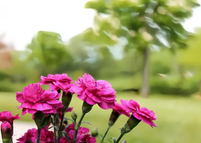 Lägenhet Casa Clorofilla - Umbria, Private Garden *